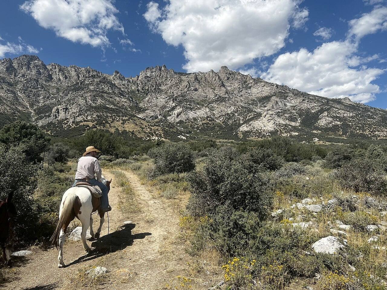 Cavalier en selle western sur un sentier de montagne aride dans le Nevada, sous un ciel bleu