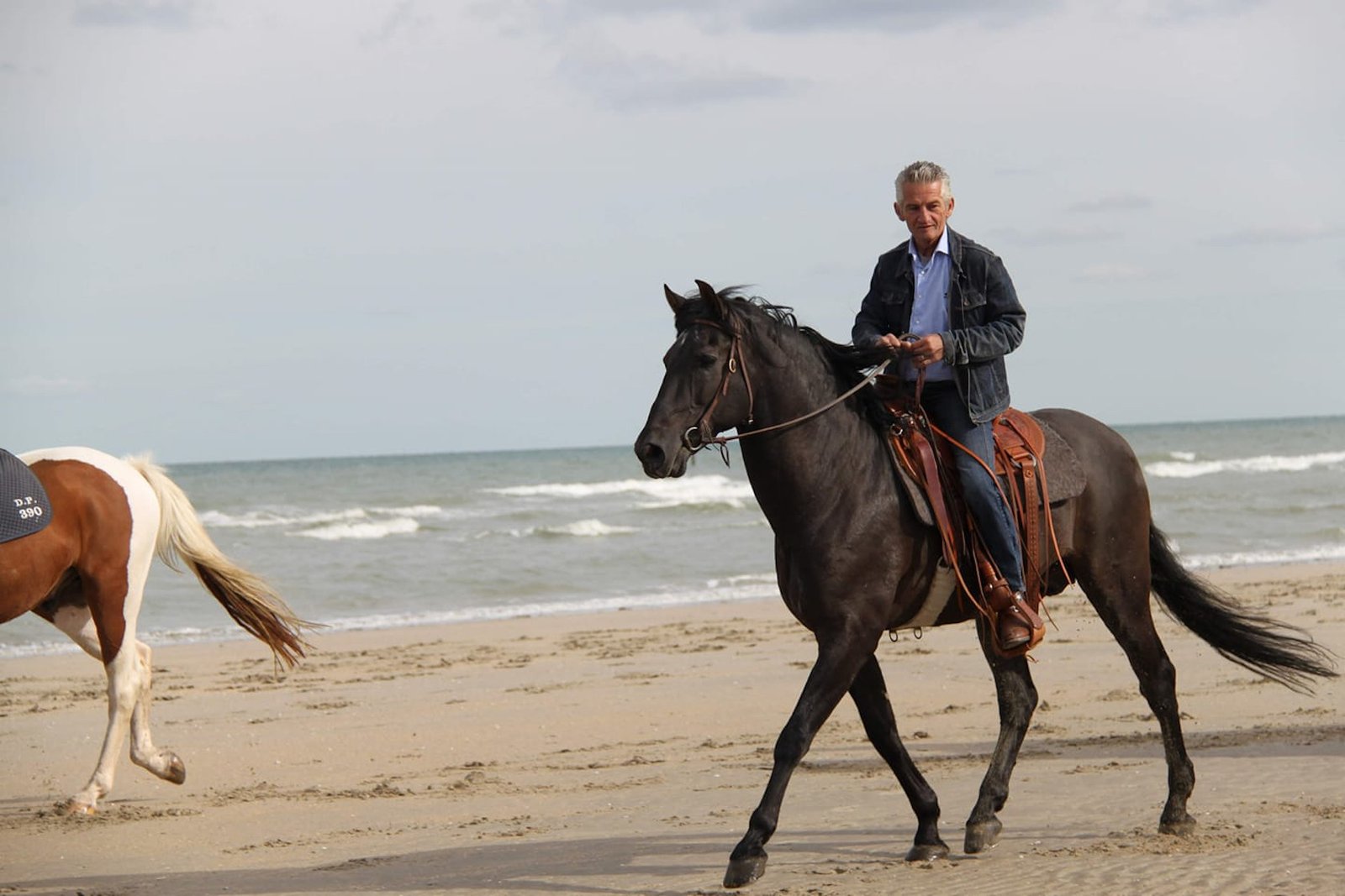 Randonnée à cheval sur la plage avec une selle Lerod