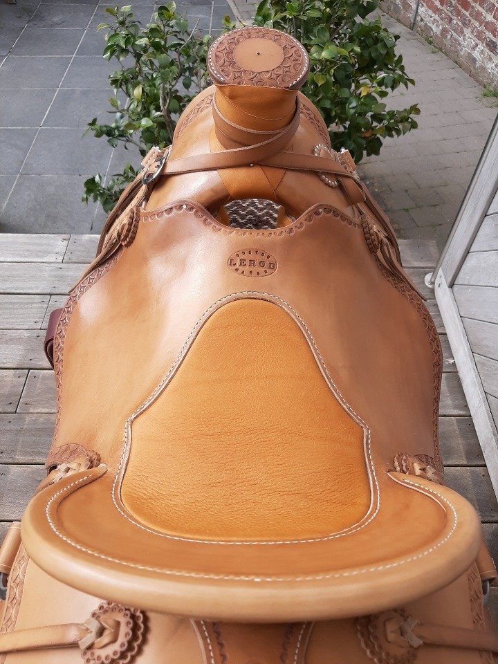 WadeVaqueros-skirtcarreback